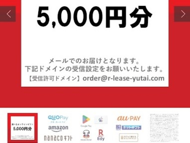 リコーリース優待（選べるオンラインギフト）内容